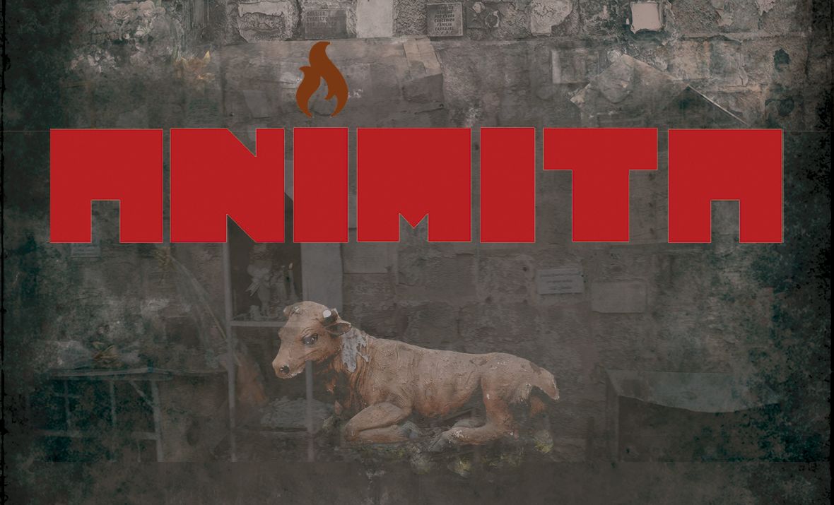 ANIMITA